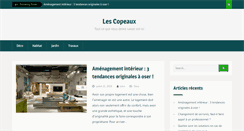 Desktop Screenshot of lescopeaux.fr